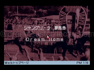 The network mode has to further choices the first is Dream horse betting ticket which it was possible to download data from the Japanese Racing Association with new content being available every Friday. The second choice Dream Home which allowed access to the dricas network usually a dedicated site for the title in question. ©1999 Shangri-La